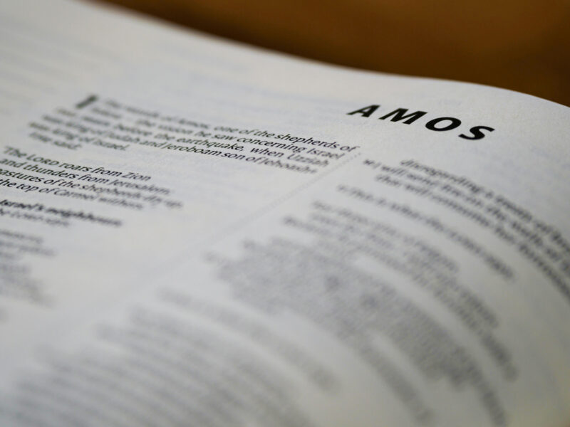 amos, close up of bible